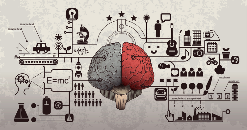 Imagen: Doggygraph / Shutterstock